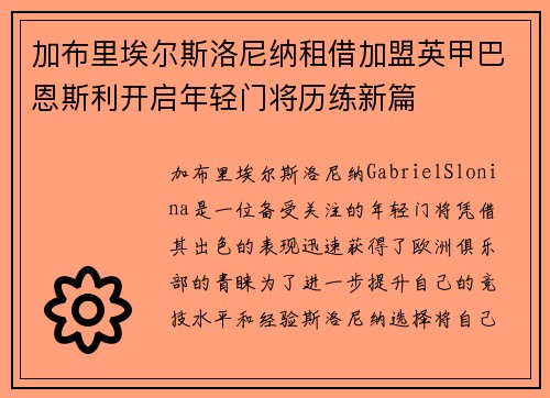 加布里埃尔斯洛尼纳租借加盟英甲巴恩斯利开启年轻门将历练新篇