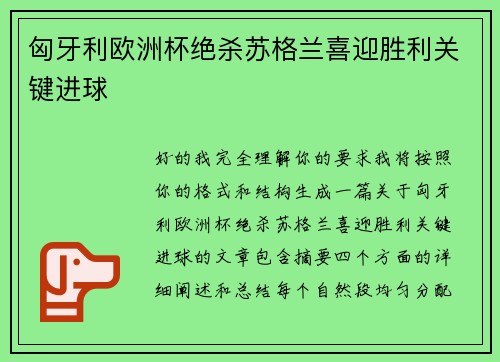 匈牙利欧洲杯绝杀苏格兰喜迎胜利关键进球
